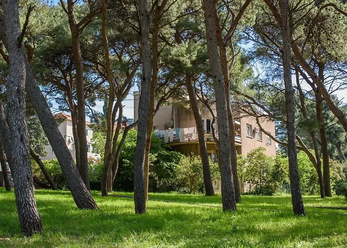 Best Location Apartments